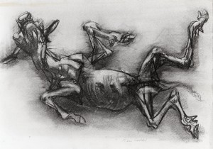 Vitello, 1990, carbone su carta, 32x50 cm